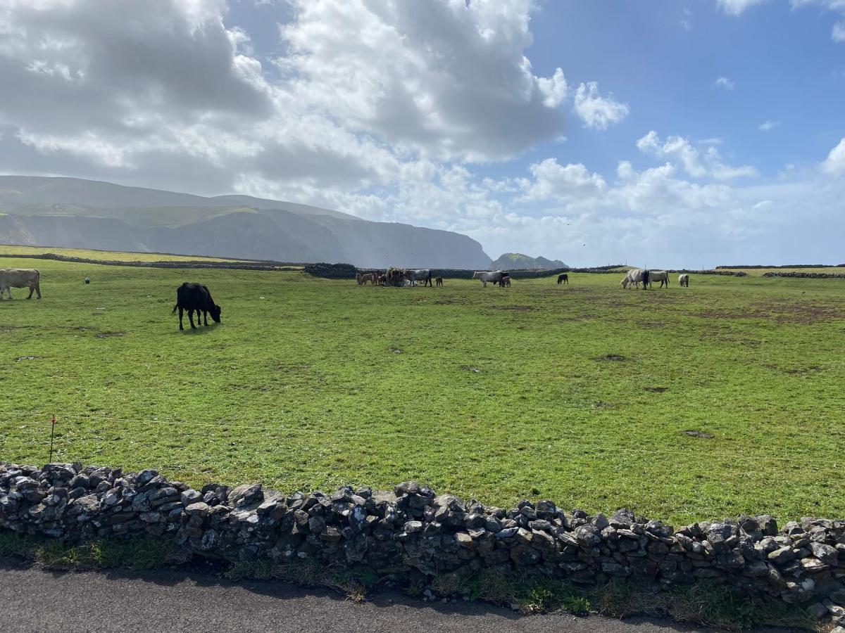 Casa Bela Vista Villa Ponta Delgada  Buitenkant foto
